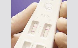 bd-directigen-ez-flu-a-b-control-swab-pack bd-directigen-ez-flu-a-b-control-swab-pack