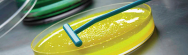 Beginning-to-end Solutions for Microbiology Brochure Broschüre: „Beginning-to-End Solutions for Microbiology“ (Lösungen für die Mikrobiologie für alle Arbeitsschritte)