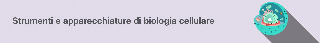 Life-Science-13297-CellBanner_IT