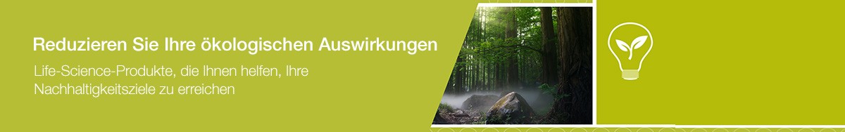 21298_WE46331-header-footprint_text_EN_update 21298_WE46331-header-footprint_text_EN_update